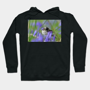 Bird in the blue Hoodie